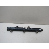 Рейка топливная (рампа) Land Rover Discovery III 2004-2009 1369552