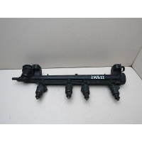 Рейка топливная (рампа) VW Golf IV \Bora 1997-2005 06A133317A