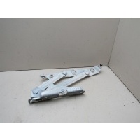 Петля крышки багажника Infiniti G (V36) 2007-2014 84401JK00A