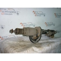 Амортизатор передний Renault Clio III 2005-2012 8200676024