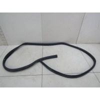 Уплотнитель двери Renault Logan 2005-2014 6001549465