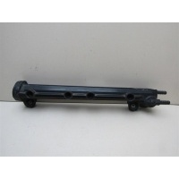 Рейка топливная (рампа) VW Golf IV \Bora 1997-2005 06A133317A