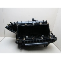 Коллектор впускной Ford Escape III 2012-2019 DS7Z9424M