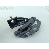 Петля капота правая Volkswagen Phaeton 2003 3D0823302D