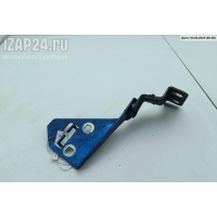 Петля капота правая Renault Megane II (2002-2008) 2003 011075
