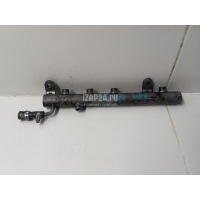 Рейка топливная (рампа) Mercedes Benz G-Class W463 1989 6420702195
