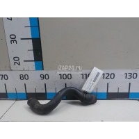 Патрубок радиатора Renault Kangoo (2003 - 2008) 7700834886