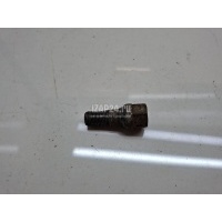 Болт колесный Citroen-Peugeot 1984 - 2005 540566