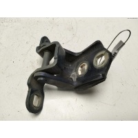 Петля двери задней левой Renault Scenic II (2003-2009) 2004