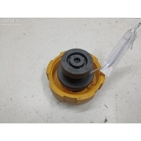 Пробка расширительного бачка Opel Astra H 2004 99202799
