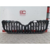 Решетка радиатора Skoda Yeti (2009-2018) 2015 5L0853668A,5L0853668A
