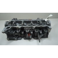 Головка блока Renault Megane II (2003 - 2009) 110412587R