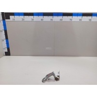 Петля двери передней правой верхняя Ford C-MAX (2003 - 2010) 5012179