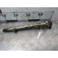 Топливная рампа Opel Corsa C 2000 - 2006 2003 0445214044,