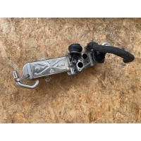 Радиатор EGR Volkswagen Tiguan 1 2012 0280751012, 03L131512BB