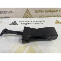 Ограничитель двери Volkswagen Touareg 3 CR7 до рестайлинг 2020 760839267