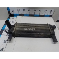 Интеркулер Nissan Pathfinder (R51) (2005 - 2014) 14461EB360