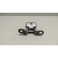 Петля двери Nissan Almera Classic (B10) (2006 - 2013) 8240095F0K