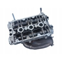Головка блока цилиндров левая распредвалы грм audi a4 b6 b7 a6 c5 3.0 v6 asn avk bbj