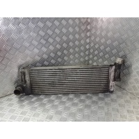 Интеркулер renault megane ii 1.9 dci 99000039