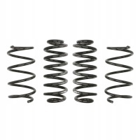Eibach e10 - 79 - 010 - 02 - 22 комплект подвески , пружины