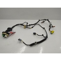 Проводка двери Citroen C3 2 рест. (2012-2016) 2013 9674236380