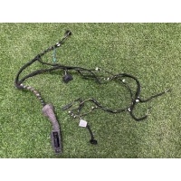 жгут проводки двери BMW 3-Series F30 2018 61129313636