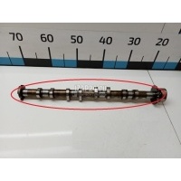 Распредвал впускной VAG Passat [B6] (2005 - 2010) 06D109101AL