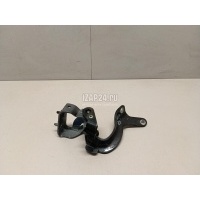 Петля двери багажника VAG Q7 [4L] (2005 - 2015) 4L0827300B