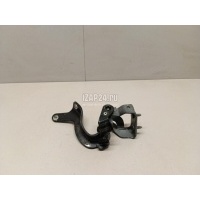 Петля двери багажника VAG Q7 [4L] (2005 - 2015) 4L0827299B