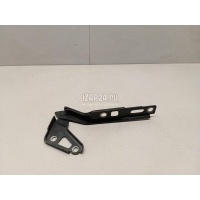 Петля капота левая VAG Q7 [4L] (2005 - 2015) 4L0823301