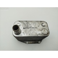 Теплообменник BMW 5 E39 (1995-2003) 2003 2247204