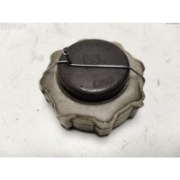 Пробка расширительного бачка Renault Scenic I (1996-2003) 2000 8200048024