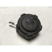 Пробка расширительного бачка Renault Scenic II (2003-2009) 2004 8200048024