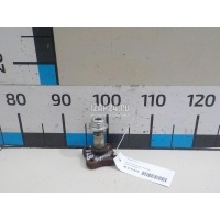 Цапфа (п.з.к.) Renault Clio II/Symbol (1998 - 2008) 7700416374