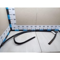 Уплотнитель стекла двери Nissan Primera P12E (2002 - 2007) 80331AV600