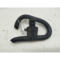 Датчик температуры Volkswagen Passat B6 2006 038906081B