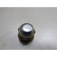 Гайка колеса Hyundai-Kia Trajet (2000 - 2009) 5295017000
