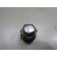 Гайка колеса Hyundai-Kia Trajet (2000 - 2009) 5295017000