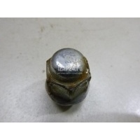 Гайка колеса Hyundai-Kia Trajet (2000 - 2009) 5295017000