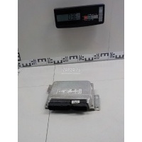 Блок управления двигателем Hyundai-Kia Trajet (2000 - 2009) 3912023890