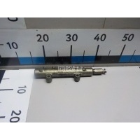 Рейка топливная (рампа) Mitsubishi Pajero/Montero IV (V8, V9) (2007 - 2021) 1465A034