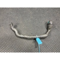 Патрубок (трубопровод, шланг) Jaguar F-Type 2018 9W838C480AD,C2P25496