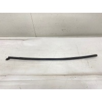 Уплотнитель стекла двери RENAULT Scenic 3 2009-2015 828210129R