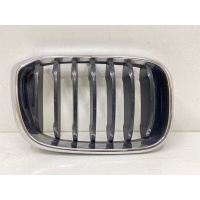 решетка радиатора BMW X4 G02 2017- 51137469435