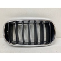 решетка радиатора BMW X5 F15 2013- 51117303108
