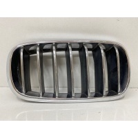 решетка радиатора BMW X5 F15 2013- 51137316054
