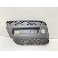 Накладка бампера Renault Sandero Stepway 2 2014- 850761319R