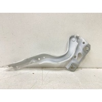 петля капота Exeed RX RX 2022- 553000255AA