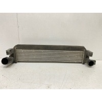 интеркулер Exeed TXL 1 2020- 302000960aa